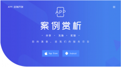 APP定制