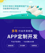 打车系统APP开发小程序开发网站建设UI设计后端开发java