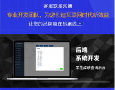 嵌入式开发数据库网站开发建设前后端SAAS软件系统开发